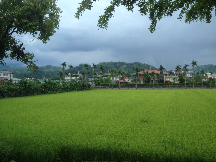 a green field with trees and buildings in the background