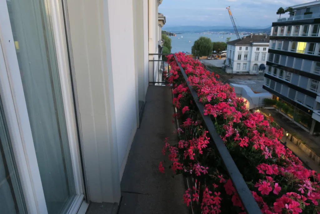 a balcony with pink flowers and a building with a body of water in the background