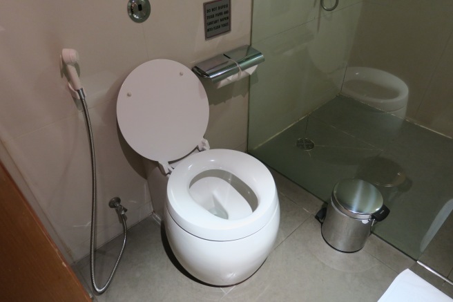a toilet with a shower and a trash can
