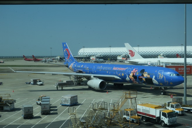 a blue airplane with cartoon characters on it