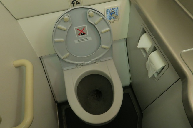 a toilet with a seat open