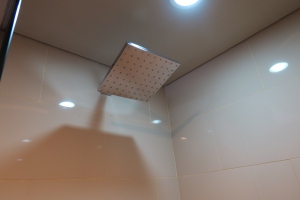 a shower head with a light on the ceiling