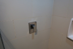 a close-up of a shower knob