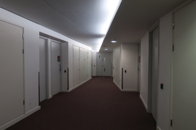 a hallway with doors and a light on the ceiling