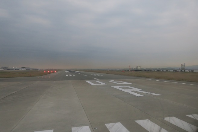 a runway with red lights on it