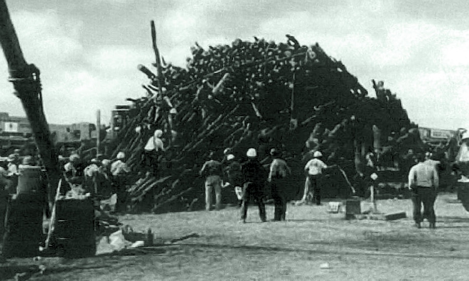 a group of people working in a pile of logs