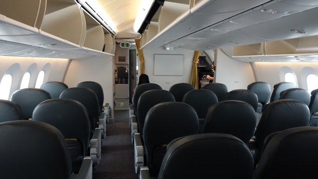 a plane with black seats