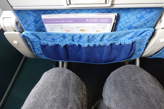 a person's legs and a seat pocket