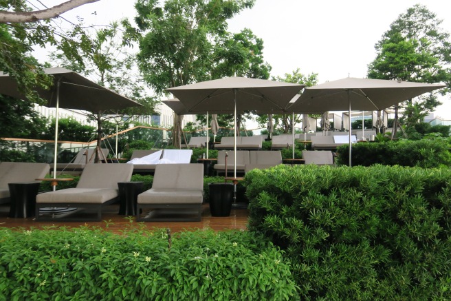 a group of chairs and umbrellas in a garden