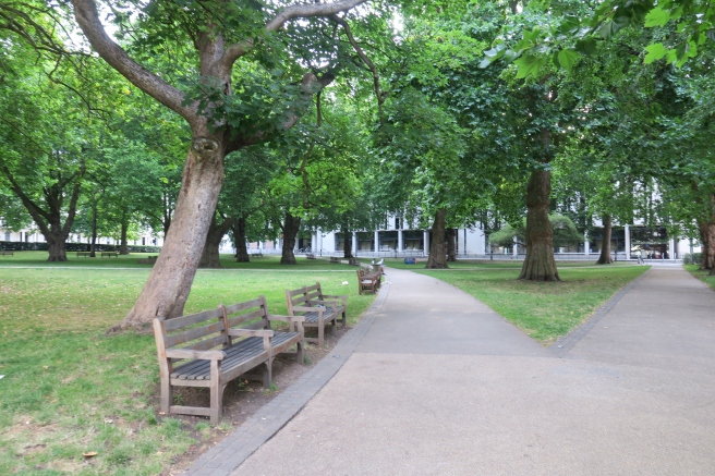 a path with benches and trees in the background