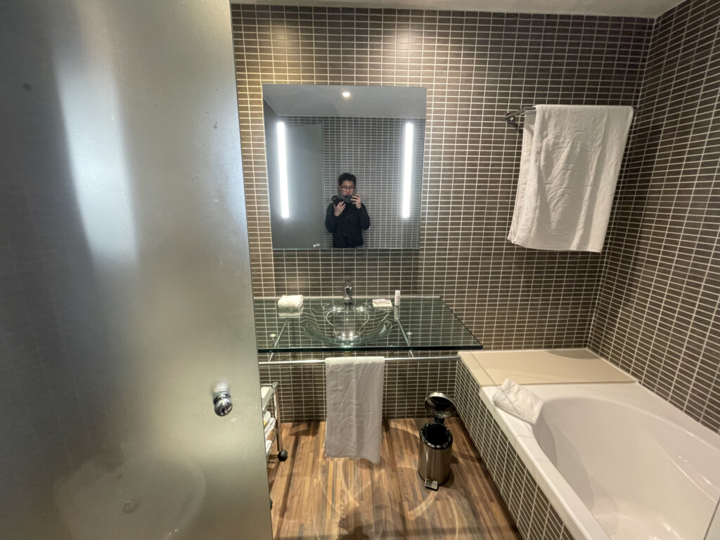 a person taking a selfie in a bathroom