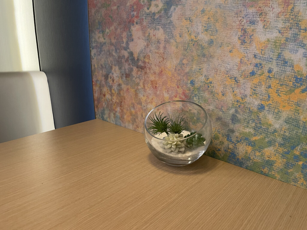 a glass bowl with succulents on a table