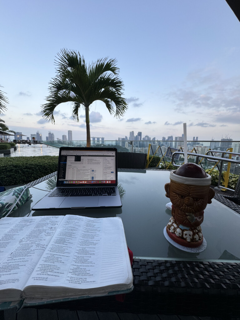 a laptop on a table with a palm tree and a city in the background